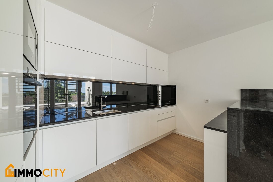 Penthouse in Vienna, Wien, Austria 5 - 16424394