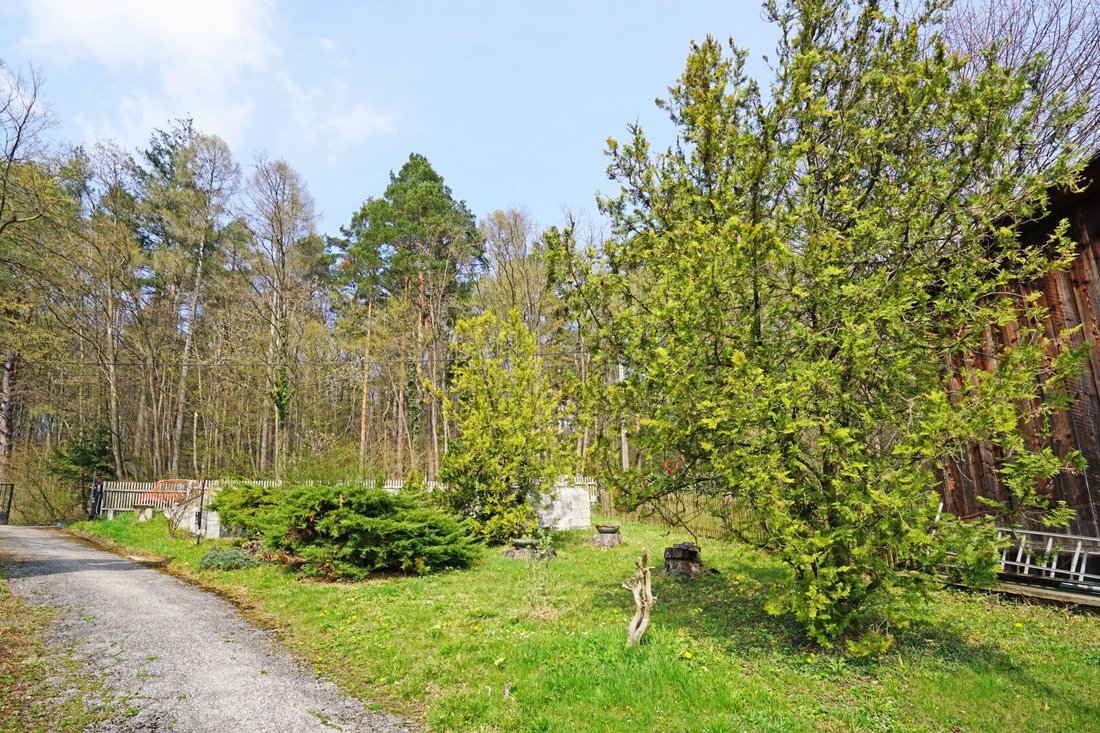House in Irenental, Lower Austria, Austria 5 - 16447915