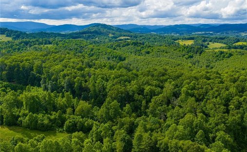 Land in Piney Creek, North Carolina, United States 1