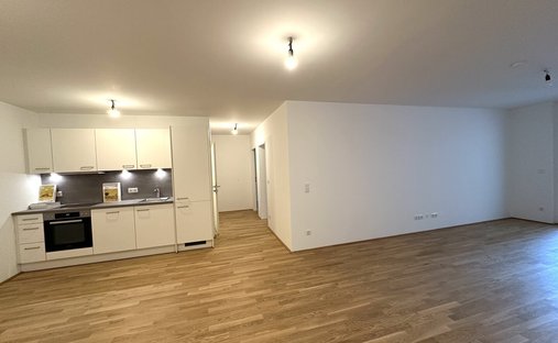 Apartment in Vienna, Wien, Austria 1
