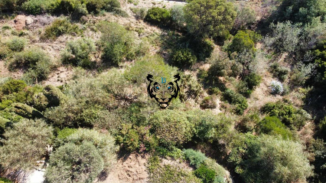 Land in Ecarts, Roquebrune-sur-Argens, France 4 - 16415633