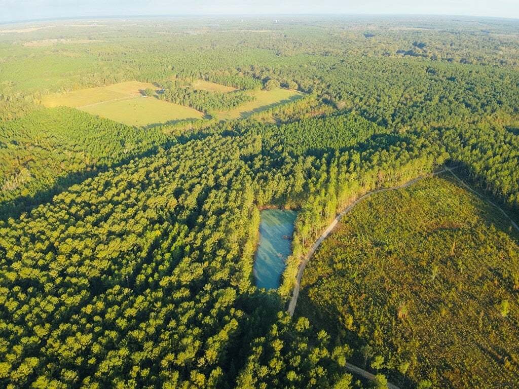 Land in Abbeville, Georgia, United States 5 - 16459630