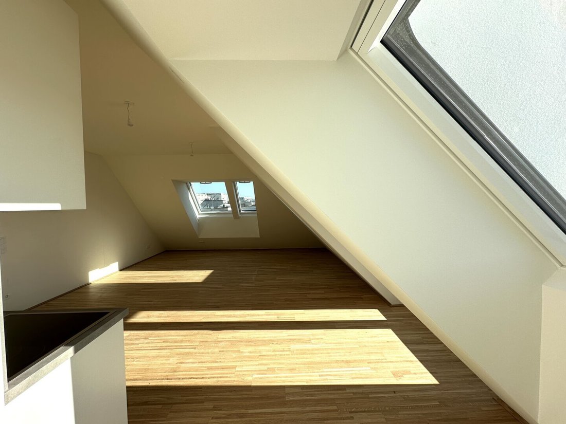 Penthouse in Vienna, Wien, Austria 3 - 16455388