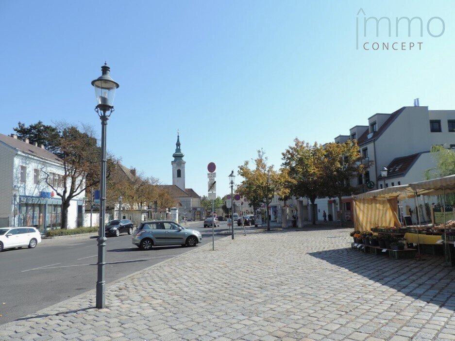 Apartment in Vienna, Wien, Austria 5 - 16433948