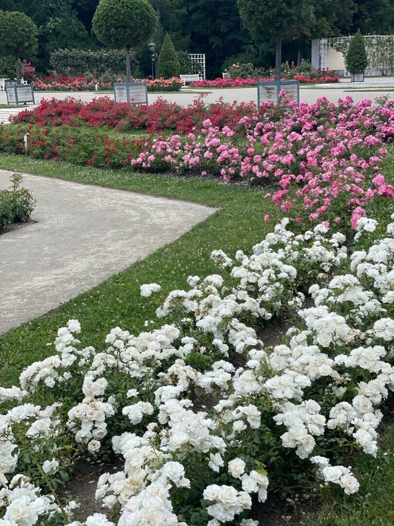 Apartment in Baden bei Wien, Lower Austria, Austria 4 - 16423210
