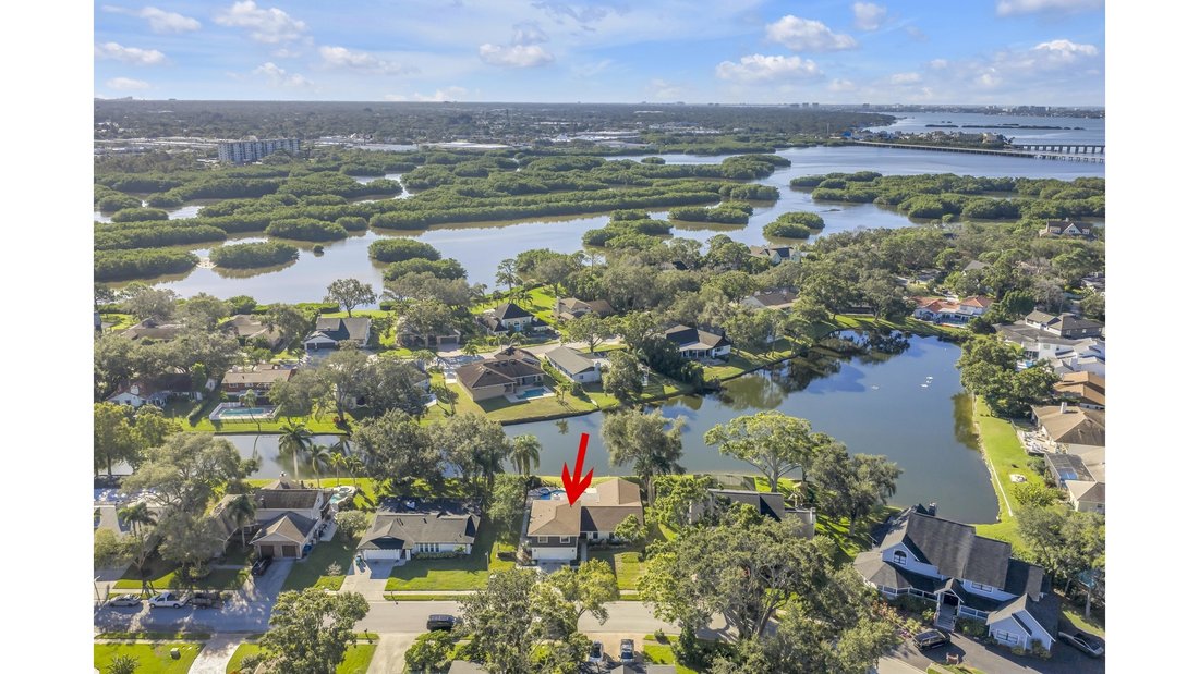 House in Seminole, Florida, United States 2 - 16138425