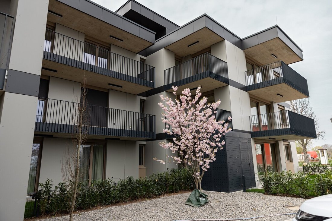 Apartment in Achau, Lower Austria, Austria 3 - 16453801