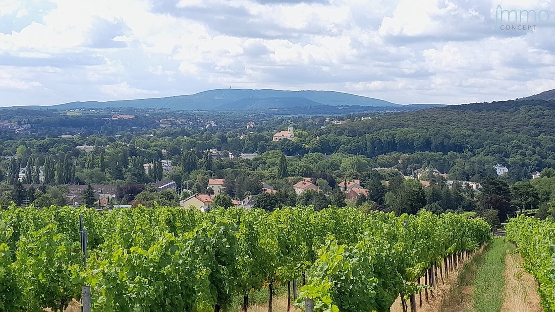 Apartment in Vienna, Wien, Austria 4 - 16433997