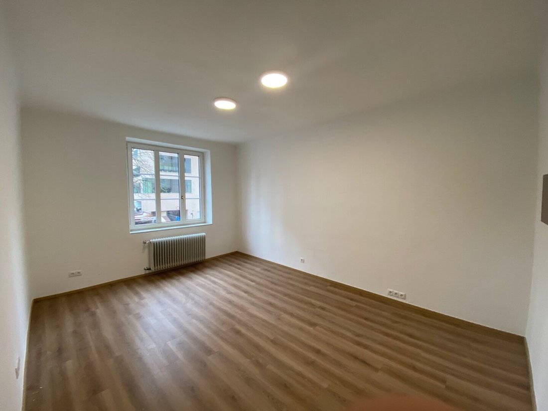 Apartment in Salzburg, Salzburg, Austria 4 - 16421311