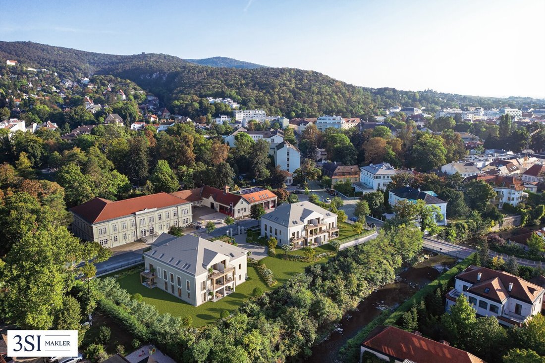 Apartment in Baden bei Wien, Lower Austria, Austria 5 - 16435328