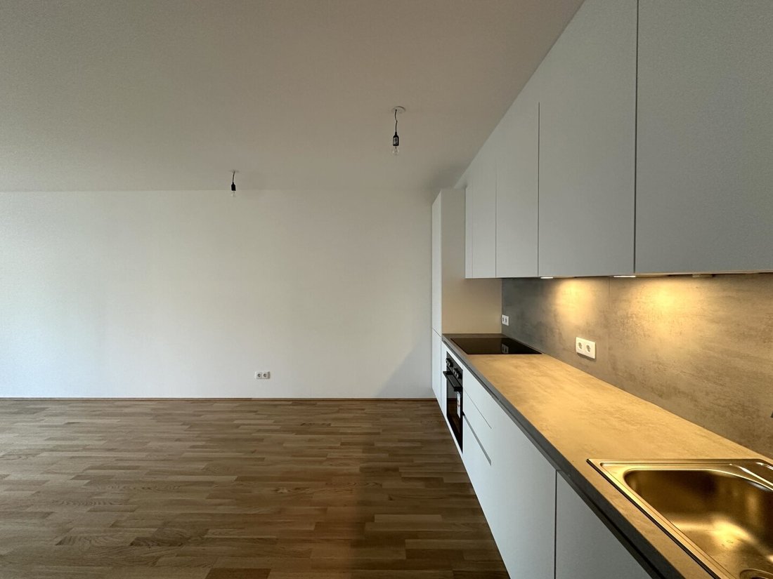 Apartment in Vienna, Wien, Austria 5 - 16455723