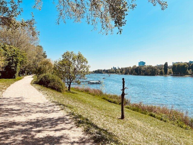 Apartment in Vienna, Wien, Austria 4 - 16425819