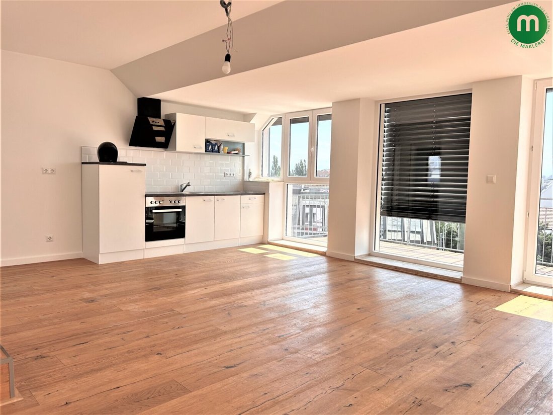 Penthouse in Vienna, Wien, Austria 3 - 16431648