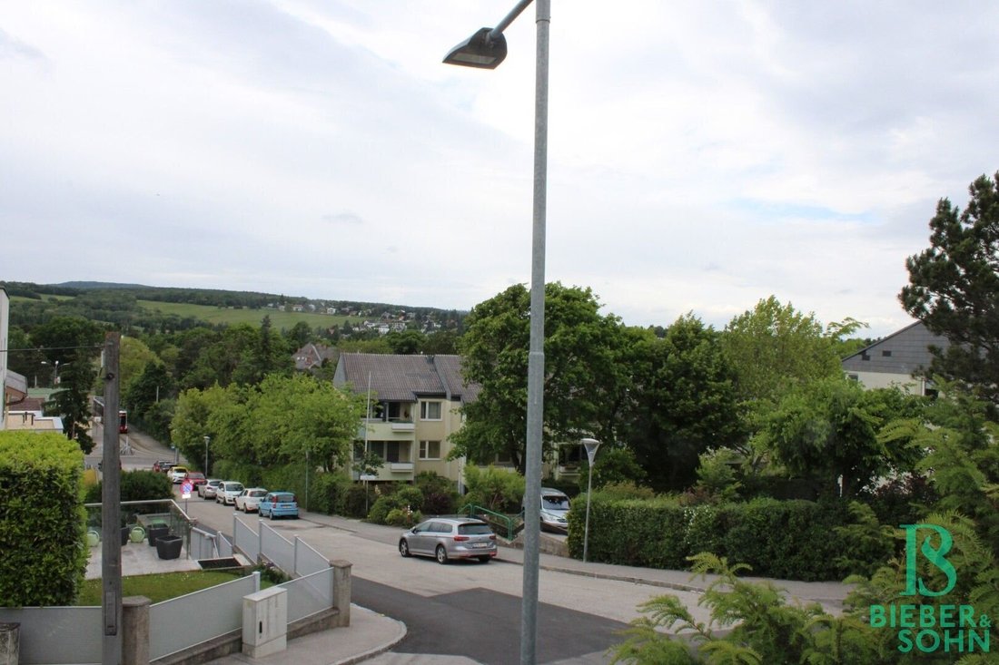 Apartment in Perchtoldsdorf, Lower Austria, Austria 3 - 16428302