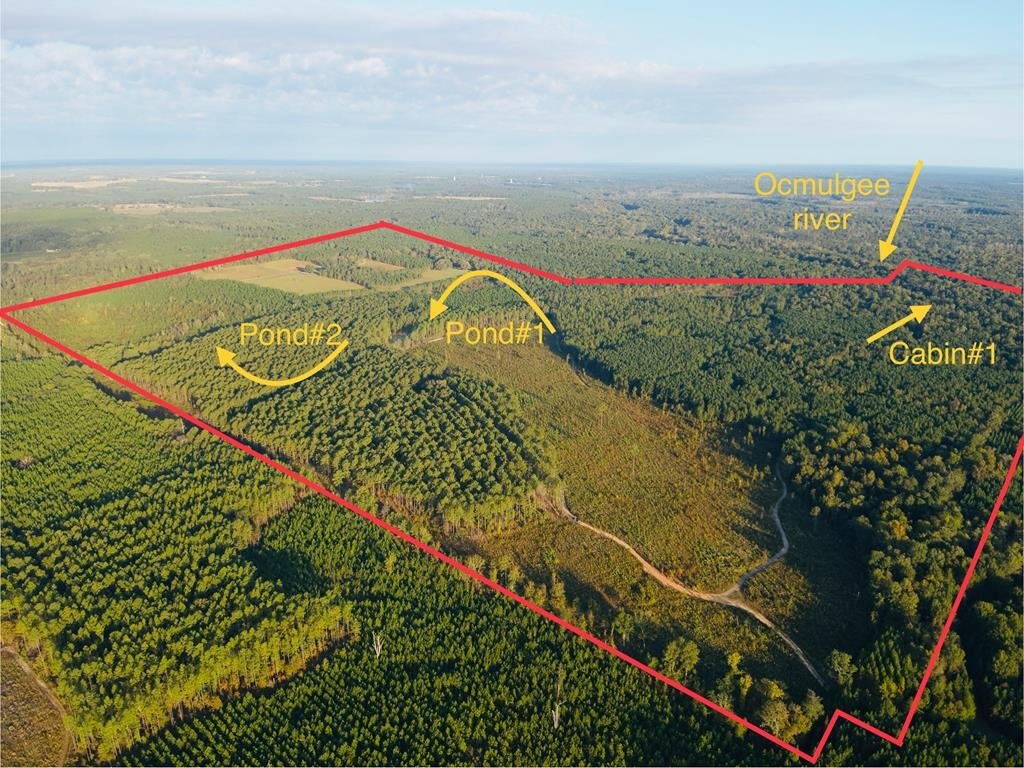 Land in Abbeville, Georgia, United States 1 - 16459630