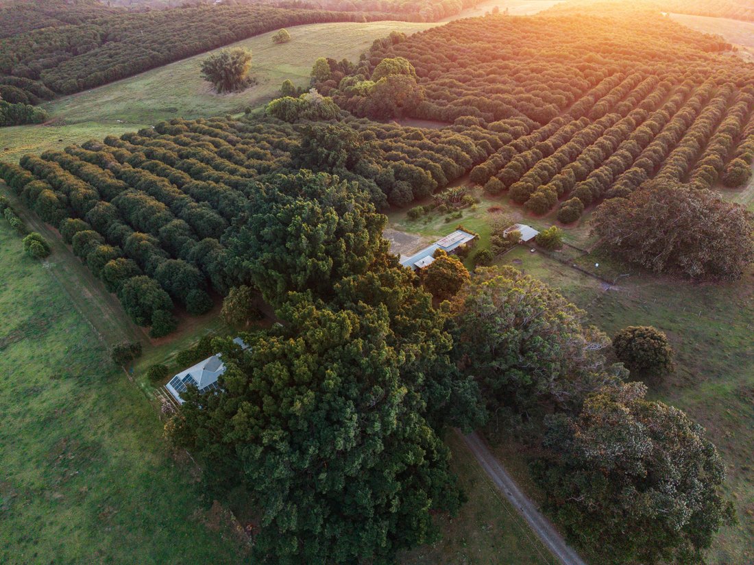 Farm Ranch in Knockrow, New South Wales, Australia 1 - 16419164