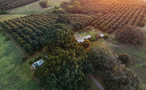 Farm Ranch in Knockrow, New South Wales, Australia 1