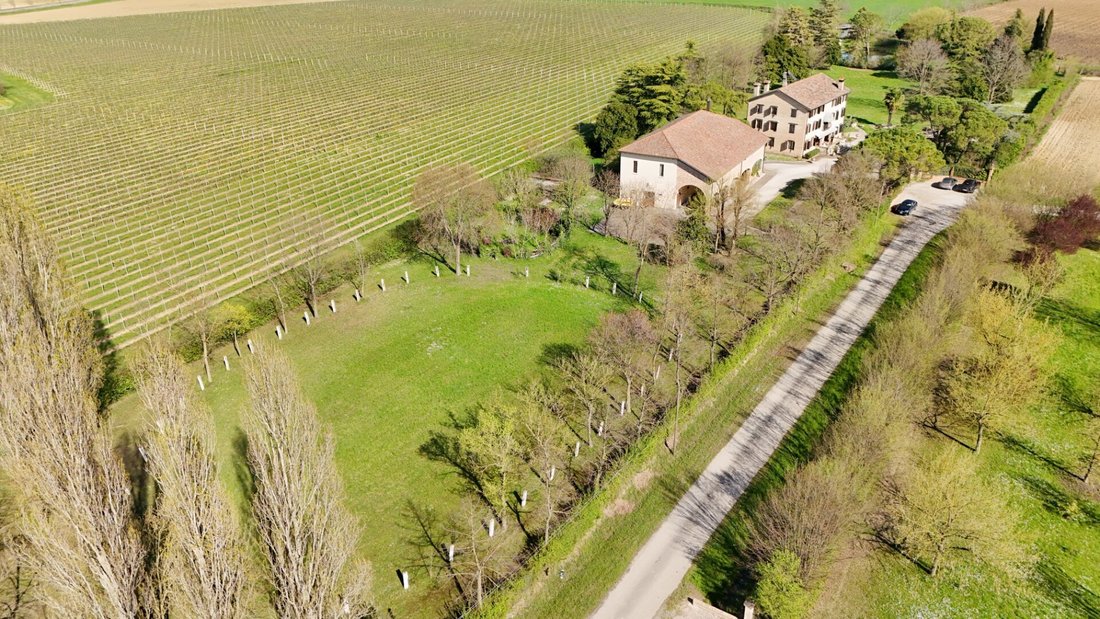House in Motta di Livenza, Veneto, Italy 5 - 16450873