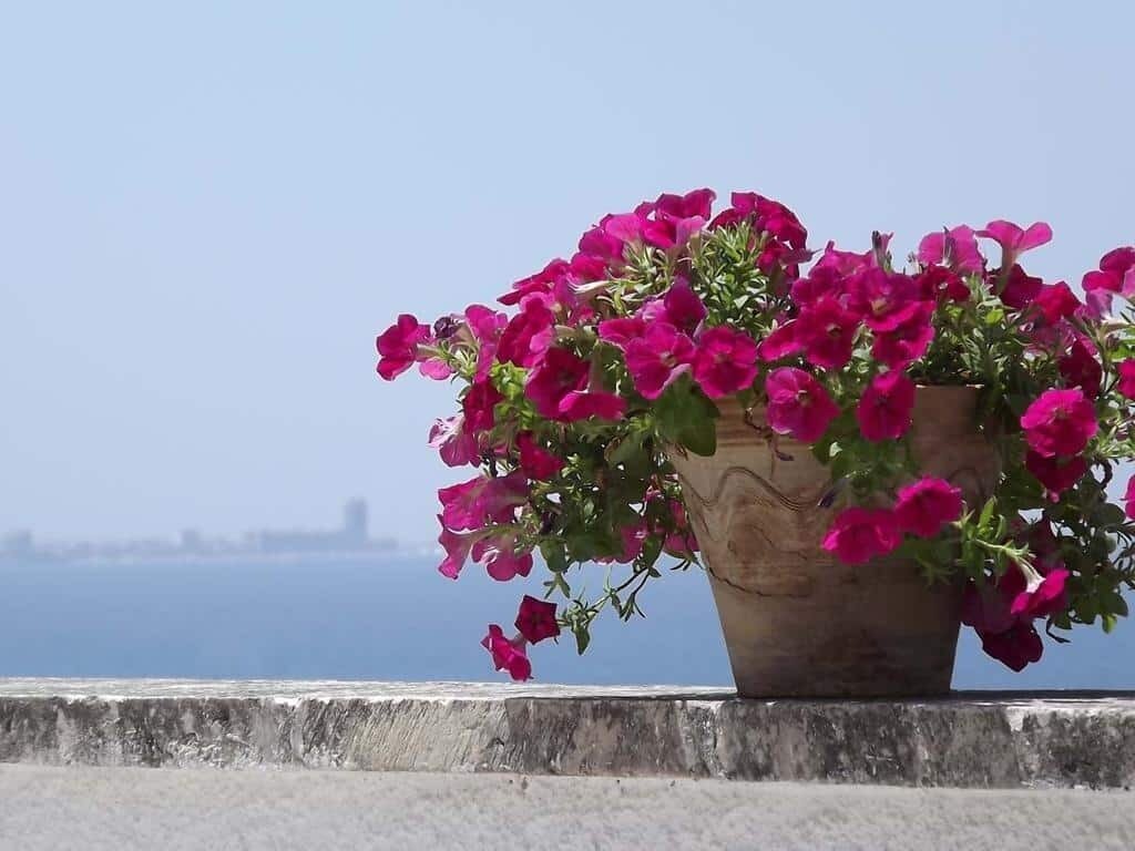 Apartment in Sannicola, Apulia, Italy 2 - 16431558