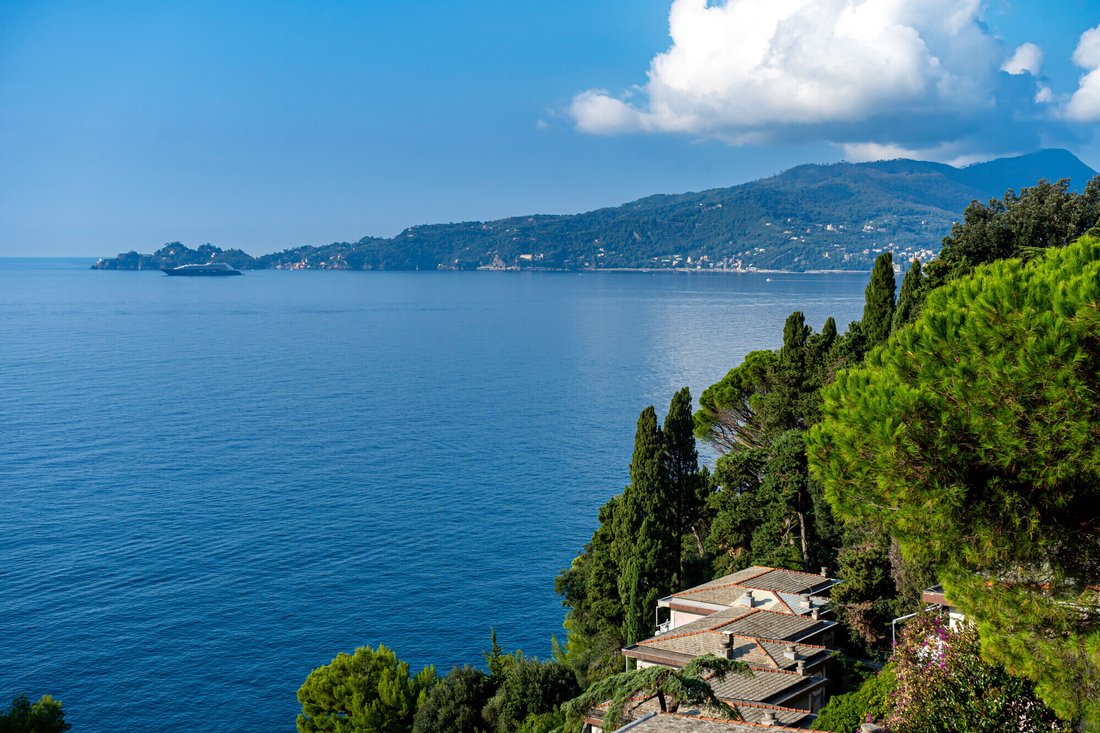 Apartment in Zoagli, Liguria, Italy 1 - 14726477