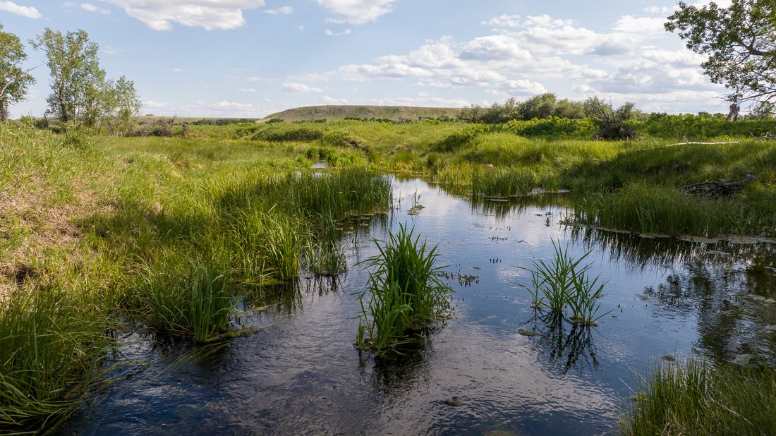 Farm Ranch in Choteau, Montana, United States 5 - 16416443