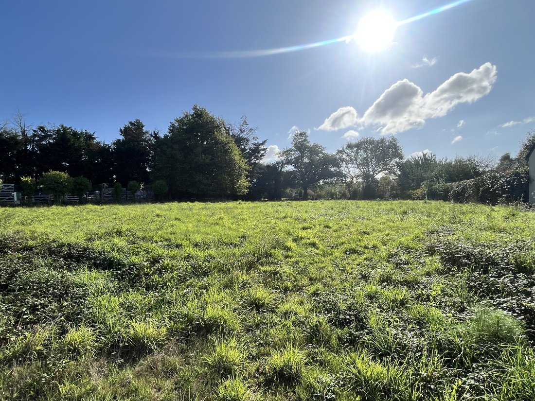 Land in Ouest Péri-Centre Ville, Vannes, France 1 - 16433219