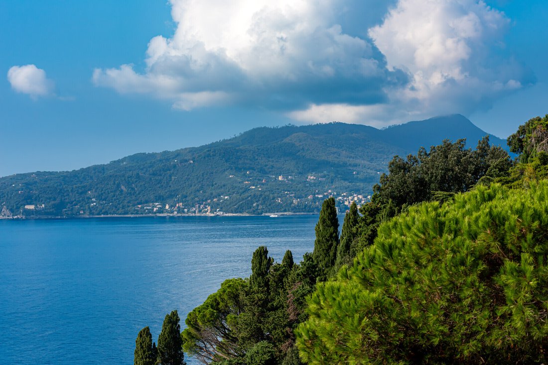 Apartment in Zoagli, Liguria, Italy 4 - 14726477