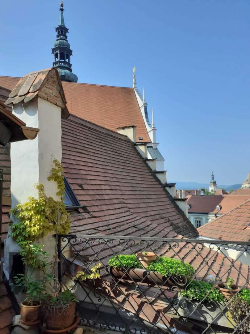 Townhouse in Krems an der Donau, Lower Austria, Austria 5 - 16422651