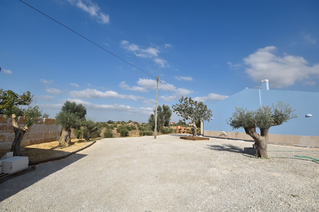 Farm Ranch in Casevel e Vaqueiros, Santarem District, Portugal 3 - 12852127