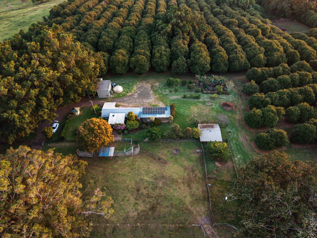 Farm Ranch in Knockrow, New South Wales, Australia 2 - 16419164