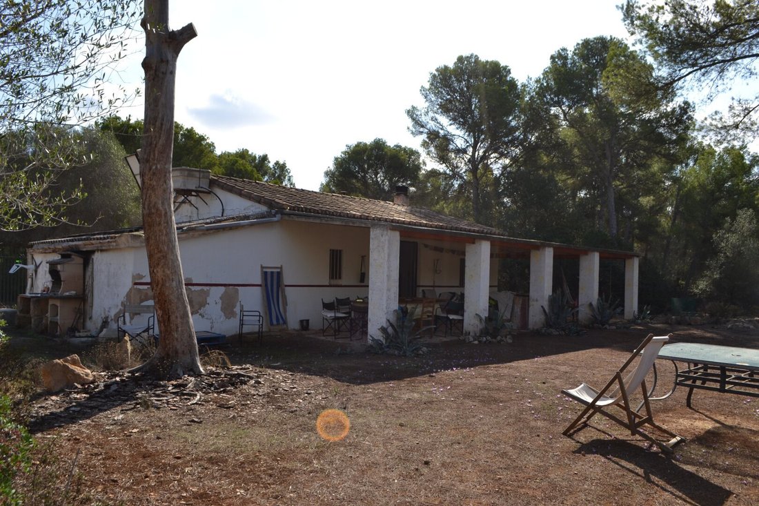 Llucmajor, Balearic Islands, Spain 2 - 16439451