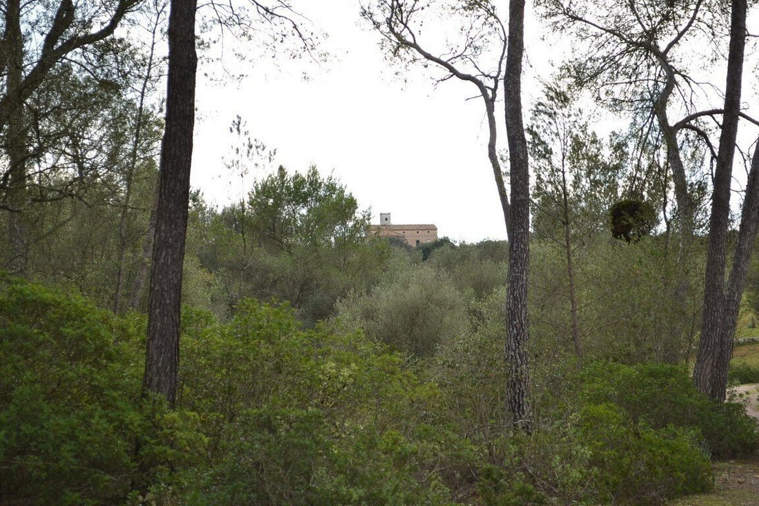 Algaida, Balearic Islands, Spain 3 - 16441900