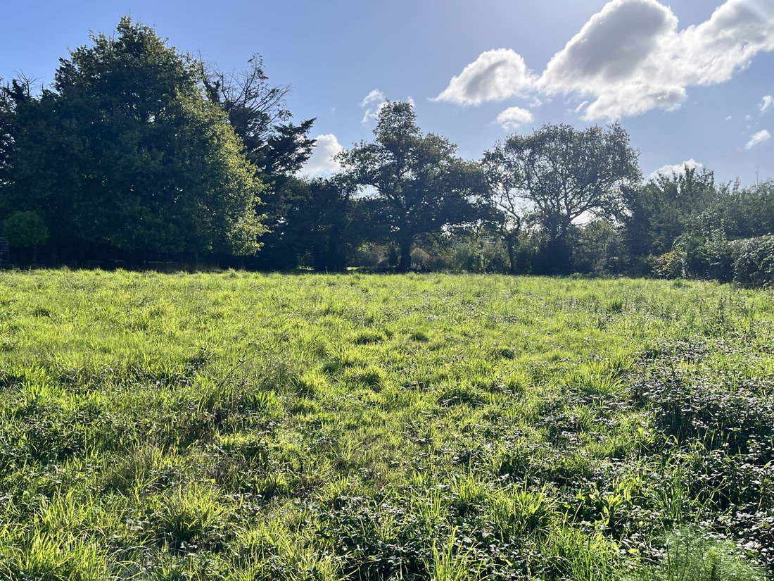 Land in Ouest Péri-Centre Ville, Vannes, France 2 - 16433219