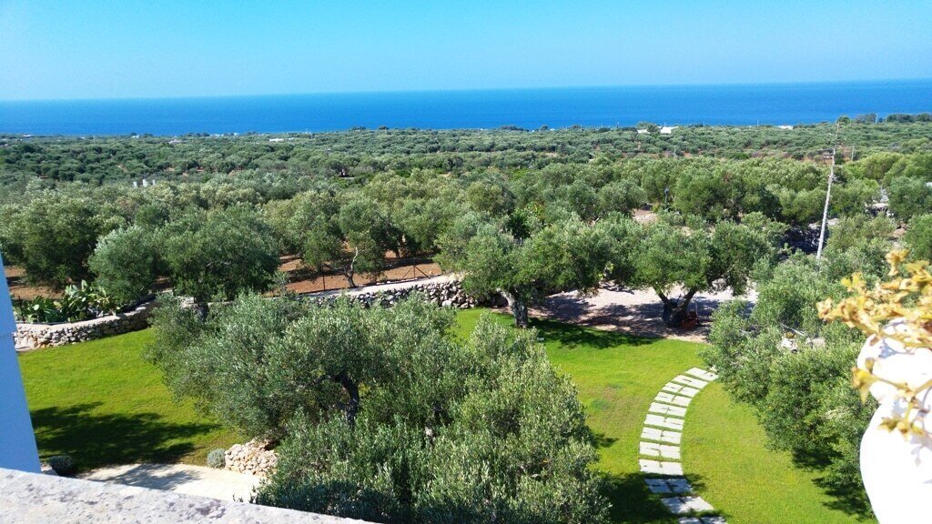 Villa in Castrignano del Capo, Apulia, Italy 5 - 16429841