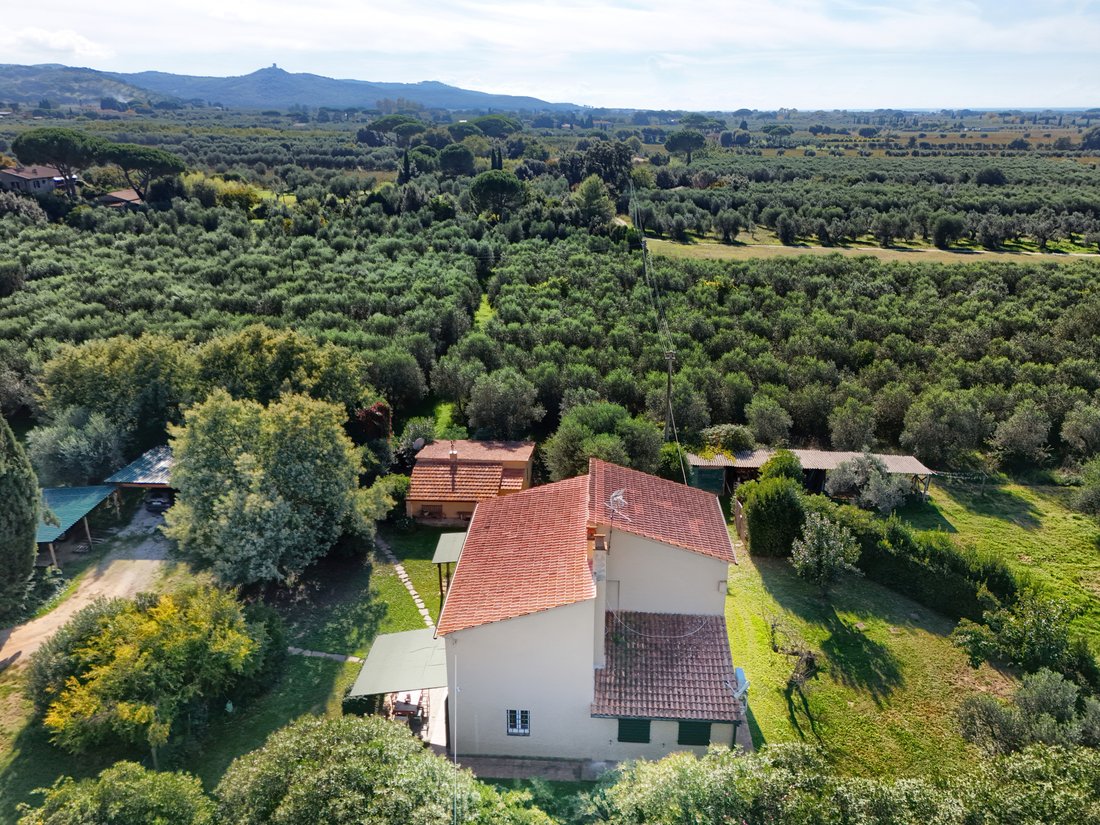 Country House in Castagneto Carducci, Tuscany, Italy 4 - 16415034