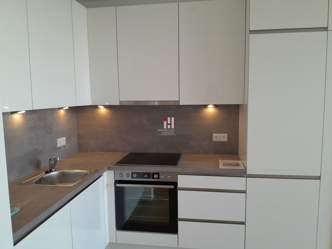 Apartment in Vienna, Wien, Austria 5 - 16445775