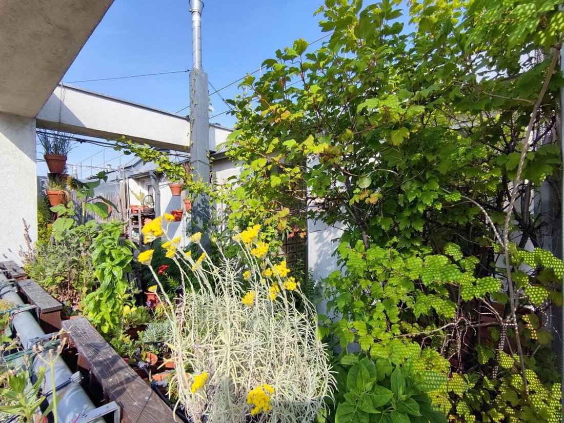 Penthouse in Vienna, Wien, Austria 5 - 16432513