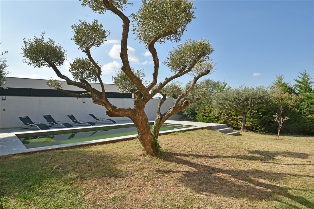 Villa in Saint-Dionisy, Occitania, France 3 - 16409747