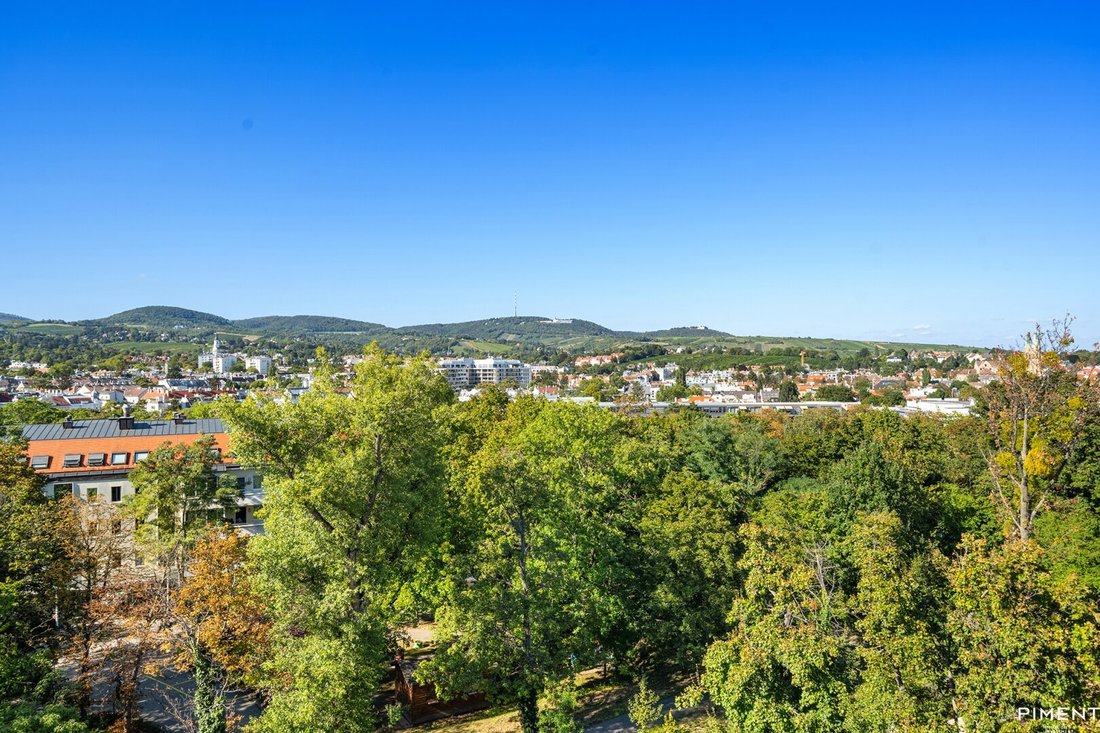 Penthouse in Vienna, Wien, Austria 5 - 16430849
