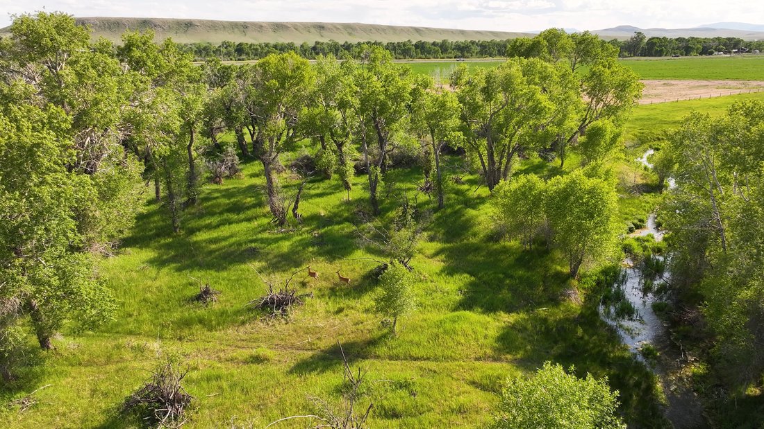 Farm Ranch in Choteau, Montana, United States 2 - 16416443