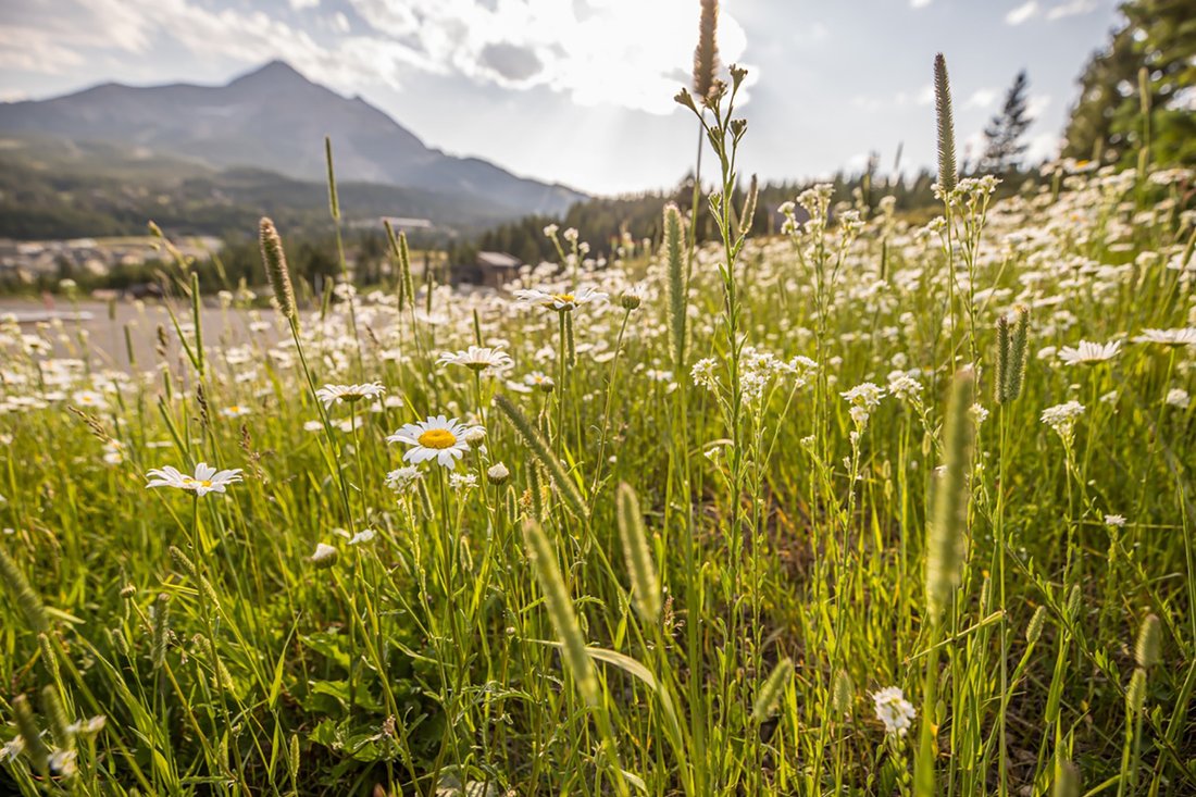Land in Gallatin Gateway, Montana, United States 2 - 16415072