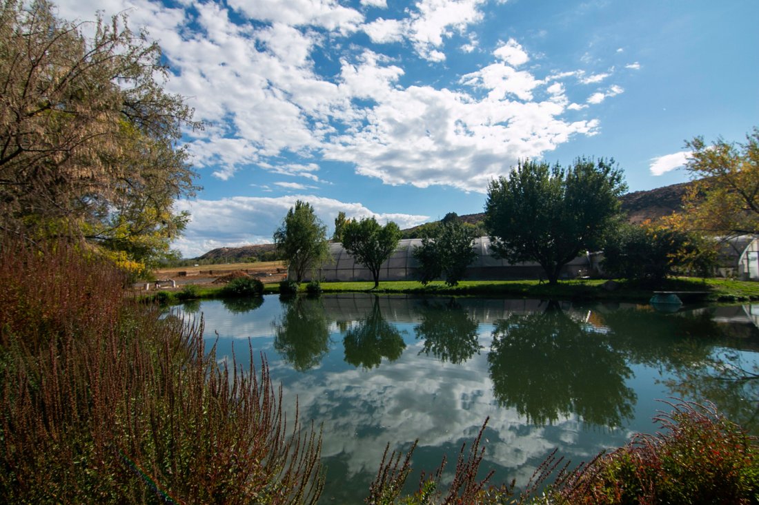 House in Buhl, Idaho, United States 4 - 16415485
