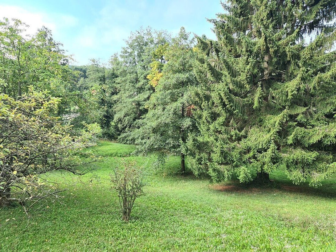House in Eichgraben, Lower Austria, Austria 3 - 16430337