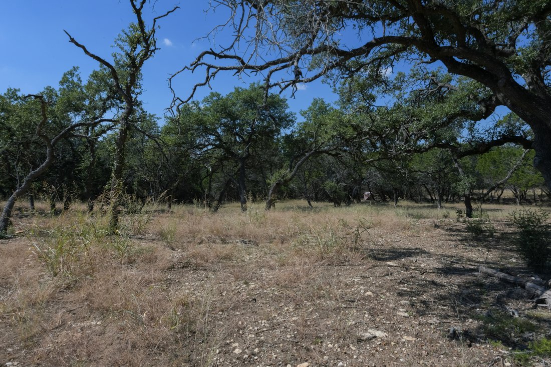 Land in Fair Oaks Ranch, Texas, United States 1 - 16420726