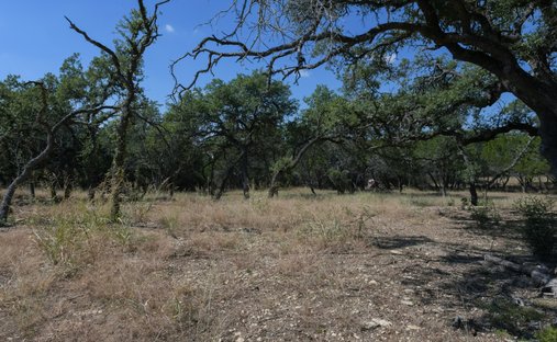 Terreno a Fair Oaks Ranch, Texas, Stati Uniti 1