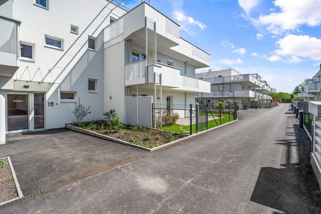 Penthouse in Maria Enzersdorf, Lower Austria, Austria 4 - 16443754