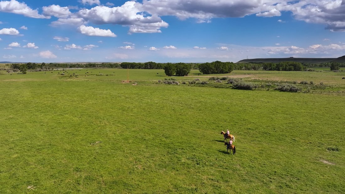 Farm Ranch in Choteau, Montana, United States 1 - 16416443
