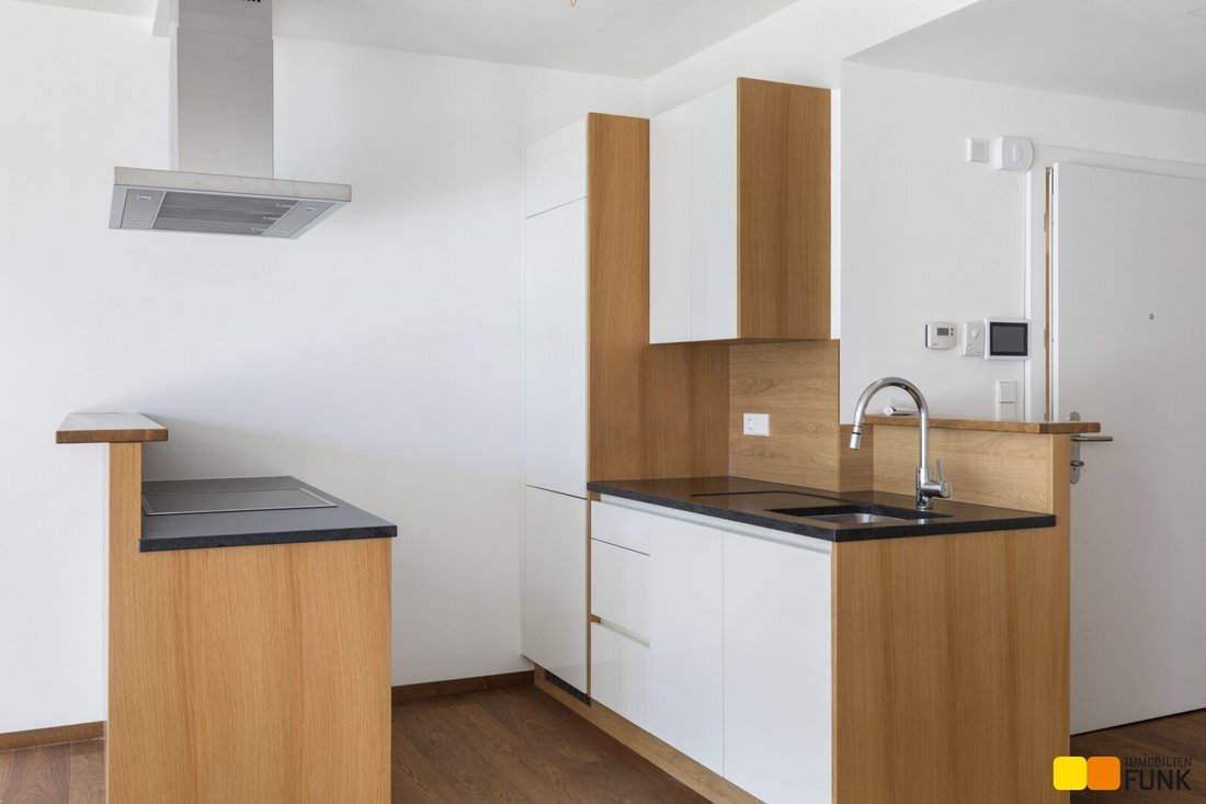 Apartment in Vienna, Wien, Austria 3 - 16431734