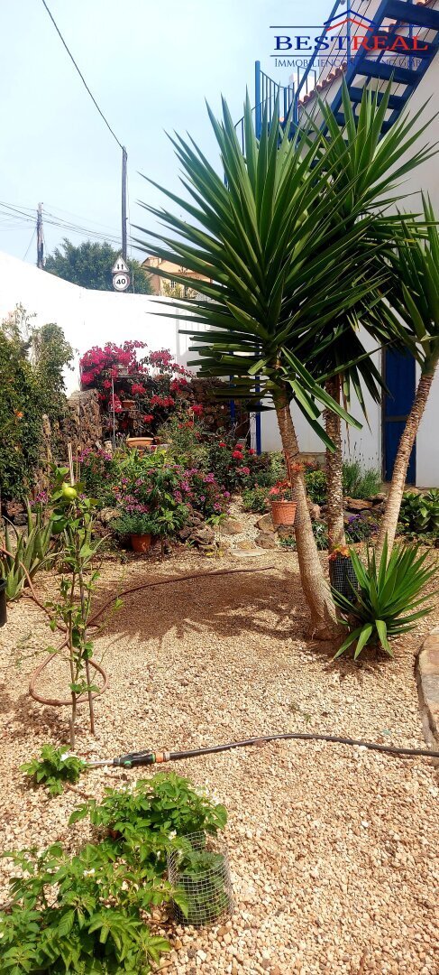 Apartment in Arona, Canary Islands, Spain 3 - 16460307