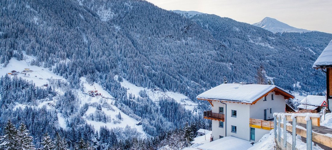 Apartment in See, Tyrol, Austria 2 - 16460283